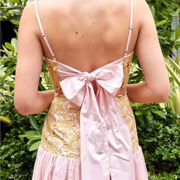 Alemais Anthea Lace Tie Back Cropped Top Blush Pink Size AU 14 US 10 NEW NWT - Picture 2 of 10